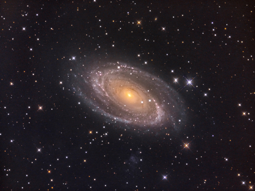 Bode's Galaxy (M81) in LRGB - Astro